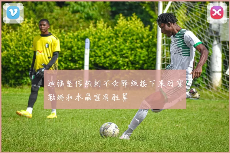 迪福坚信热刺不会降级接下来对富勒姆和水晶宫有胜算