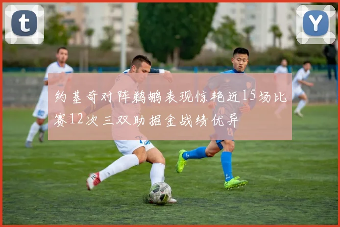 约基奇对阵鹈鹕表现惊艳近15场比赛12次三双助掘金战绩优异